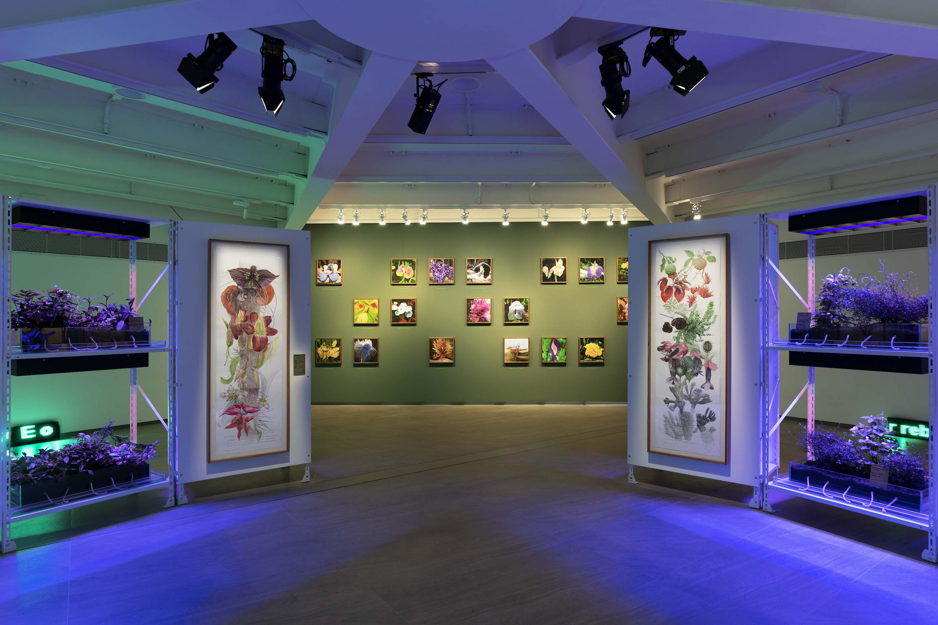 Gallery image 4