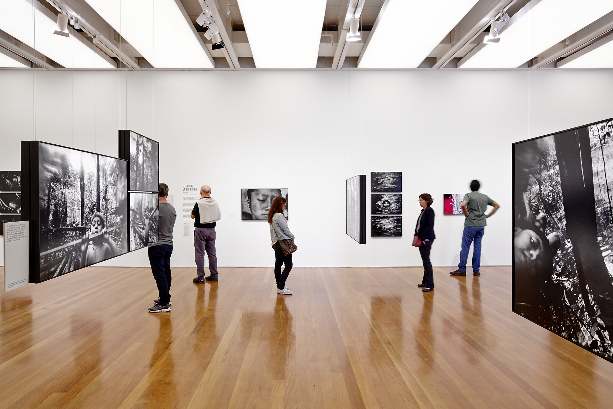 Gallery image 6
